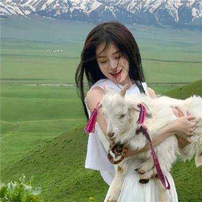铁血战士:杀戮之王海报